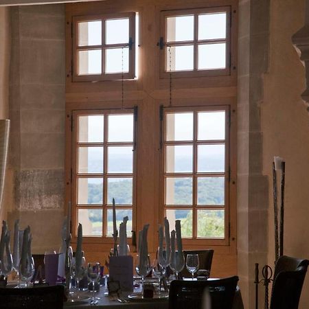 Hotel Chateau Le Rosey Nyon Exterior foto