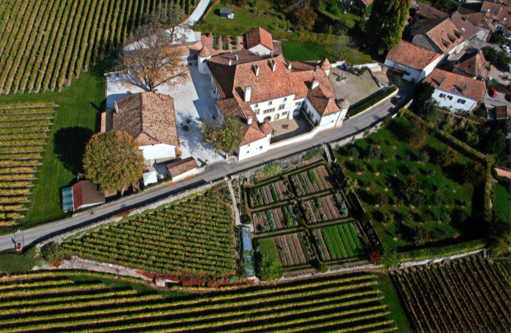 Hotel Chateau Le Rosey Nyon Exterior foto